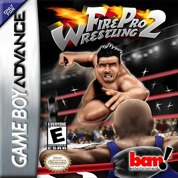 Fire Pro Wrestling 2 box art