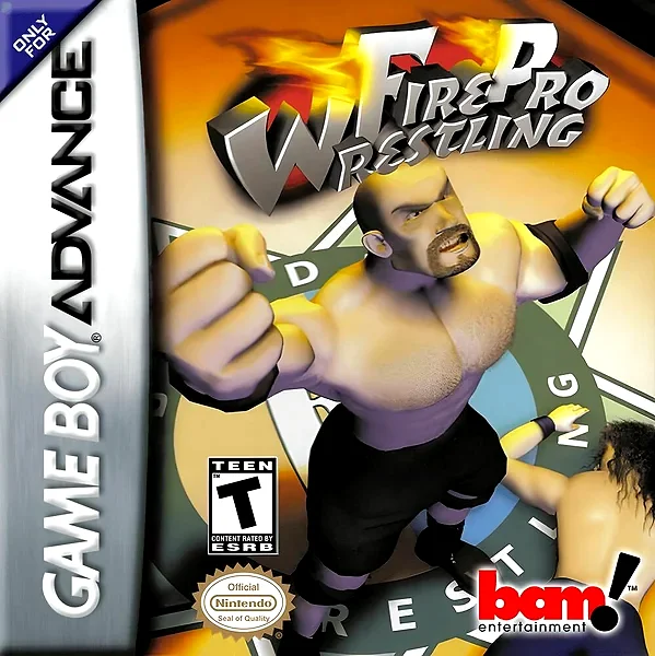 Fire Pro Wrestling Box Art