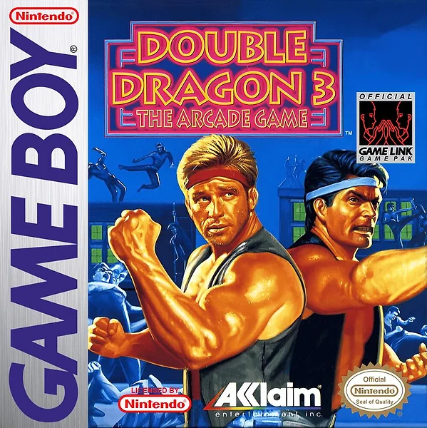 Double Dragon 3: The Arcade Game box art