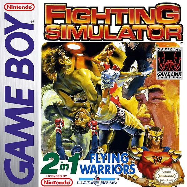 2-in-1: Fighting Simulator & Flying Warriors Box Art