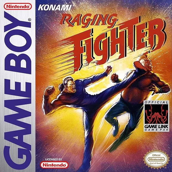 Raging Fighter Box Art