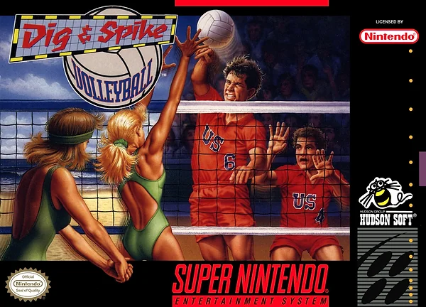 Dig & Spike Volleyball box art